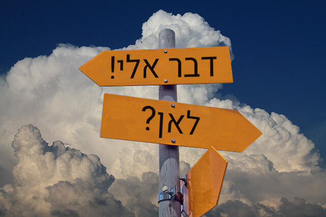 יועץ שילוט והכוונה