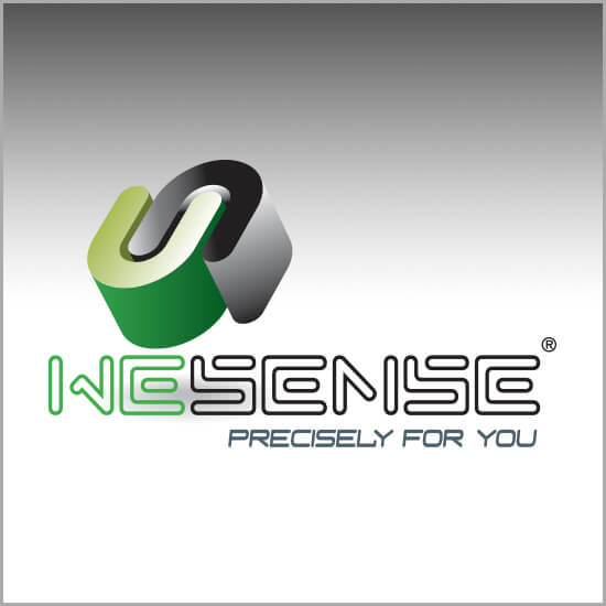 עיצוב מצגת לחברת wesense