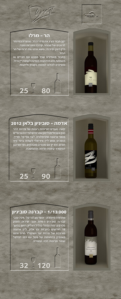 עיצוב גרפי לרול אפ במלון דן באילת