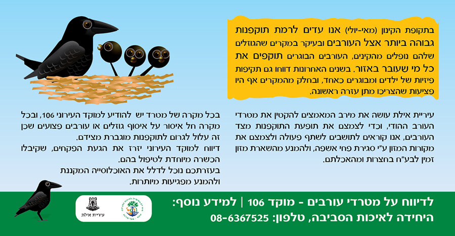 עיצוב ואיור ברושור הסברה